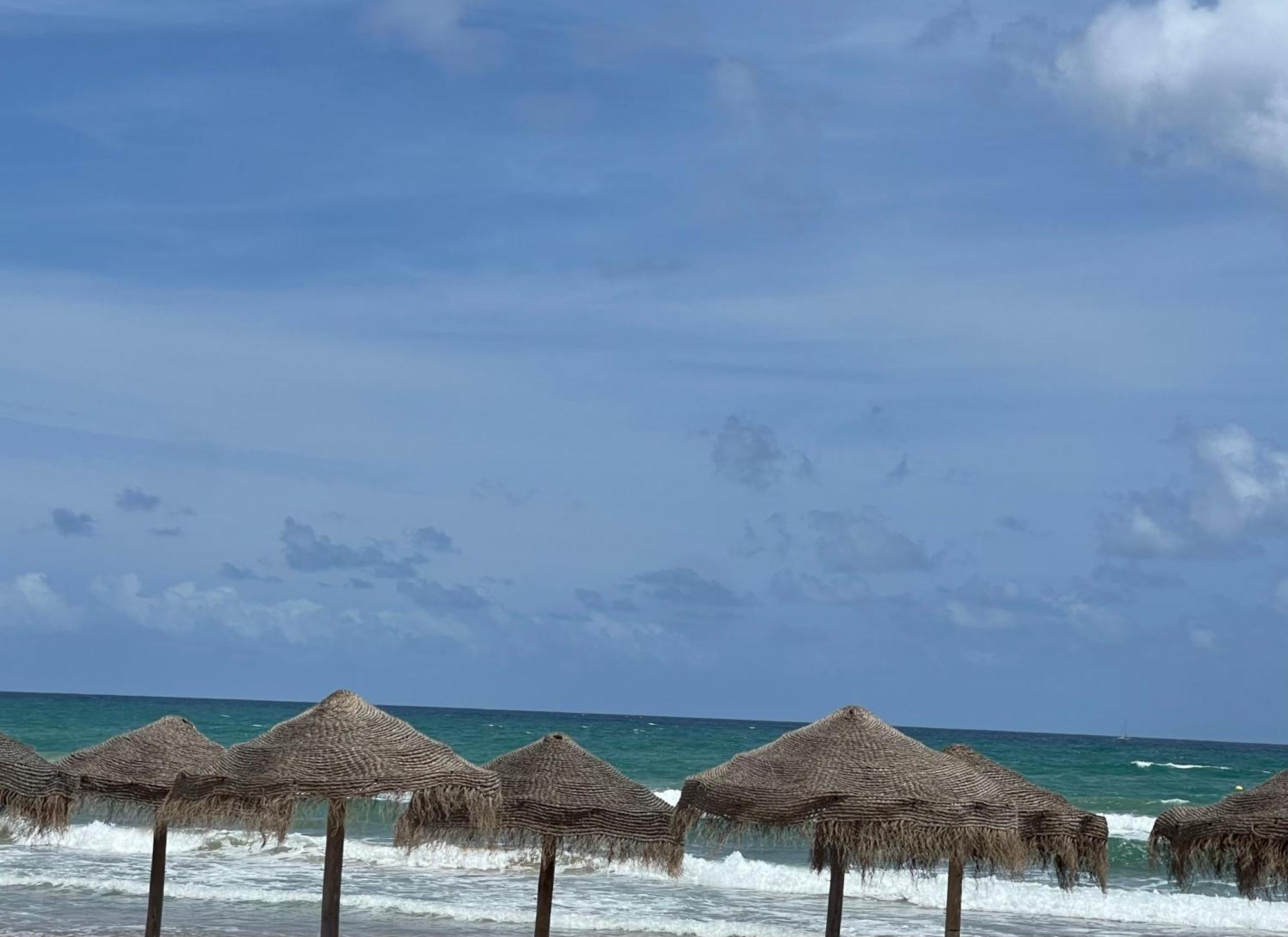Beach Apartament In تورّيفيِخا المظهر الخارجي الصورة